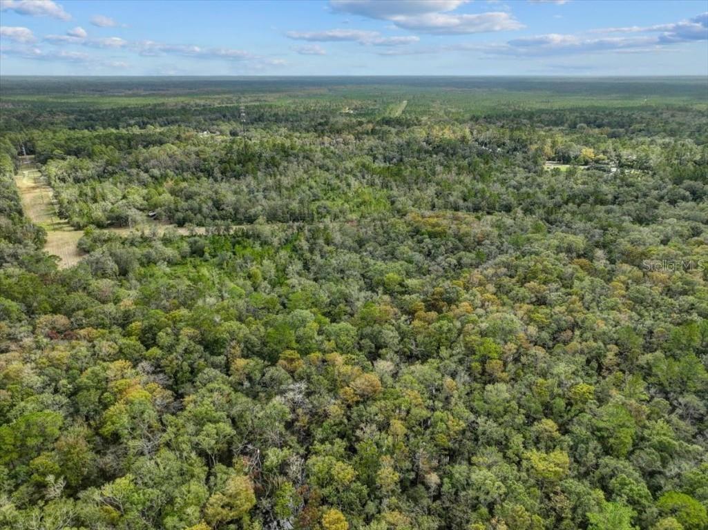 310 N Otter Creek Avenue Bronson FL 32621 GC526307 image5