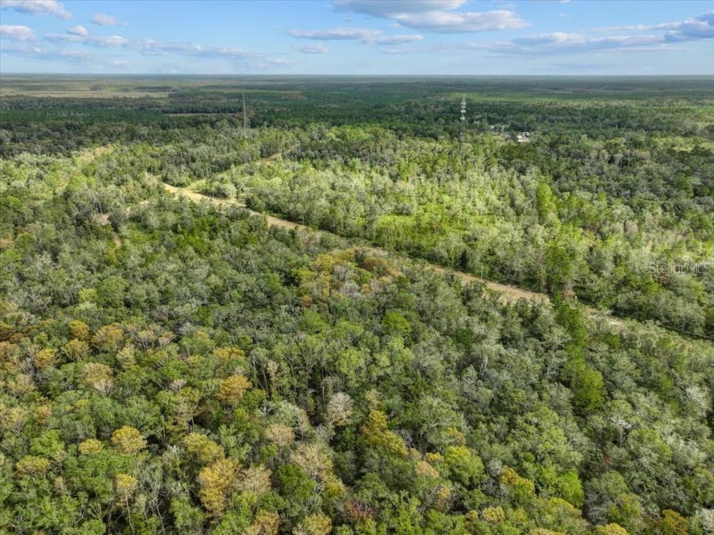 310 N Otter Creek Avenue Bronson FL 32621 GC526307 image7