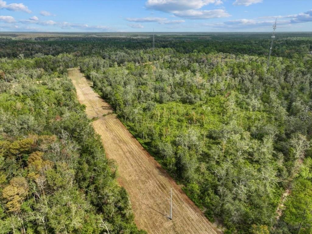 310 N Otter Creek Avenue Bronson FL 32621 GC526307 image8