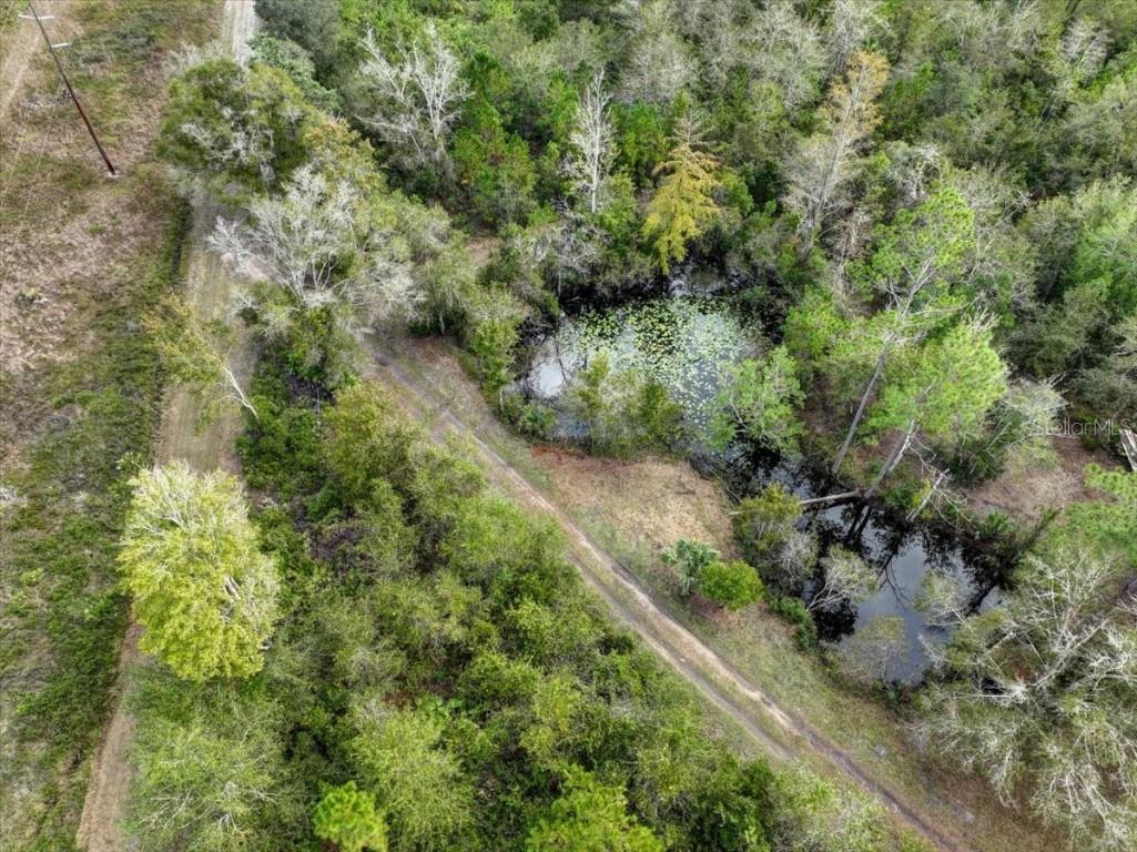 310 N Otter Creek Avenue Bronson FL 32621 GC526307 image9