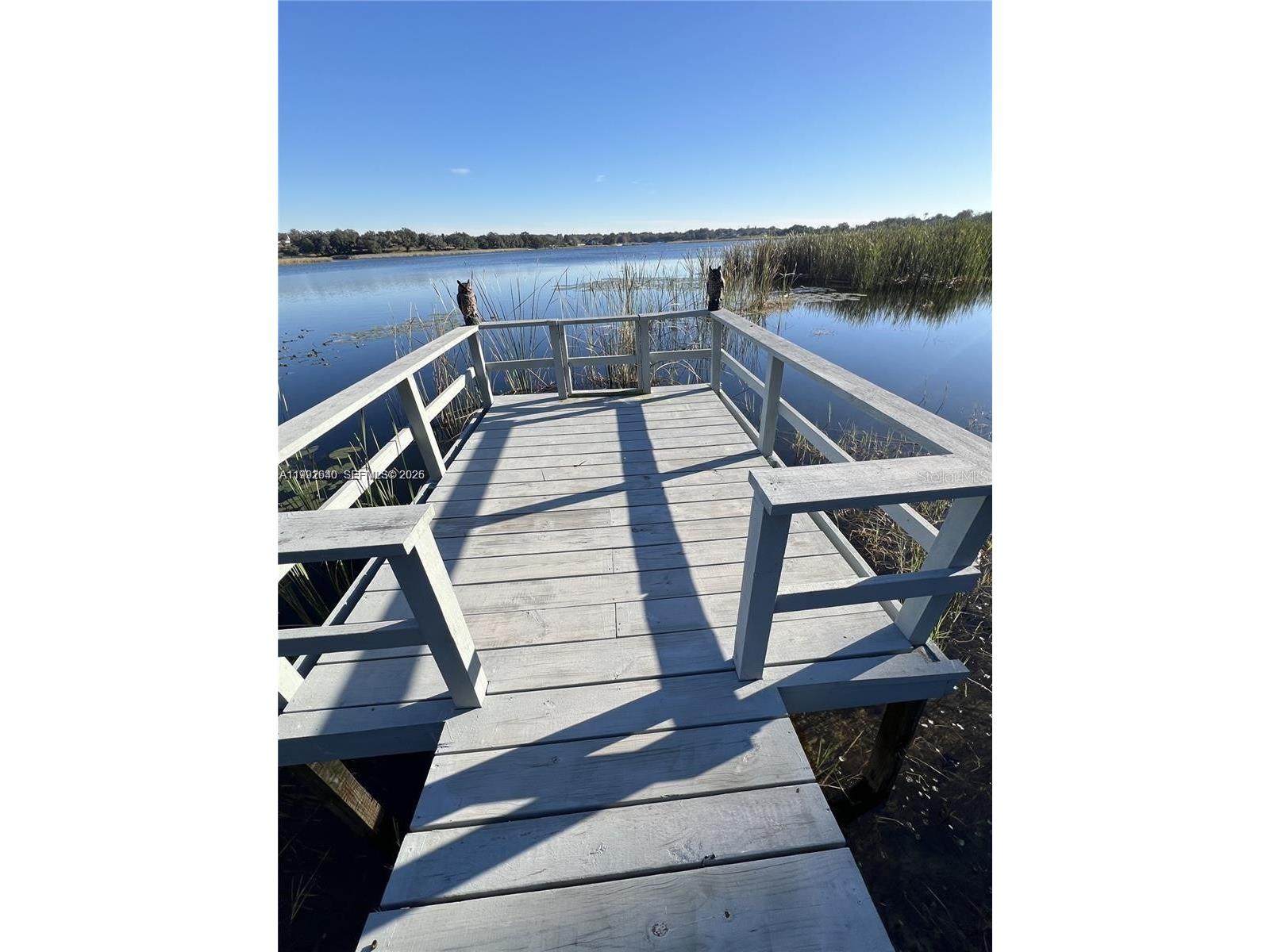 310 S 3rd Street Haines City FL 33844 S5147243 image23