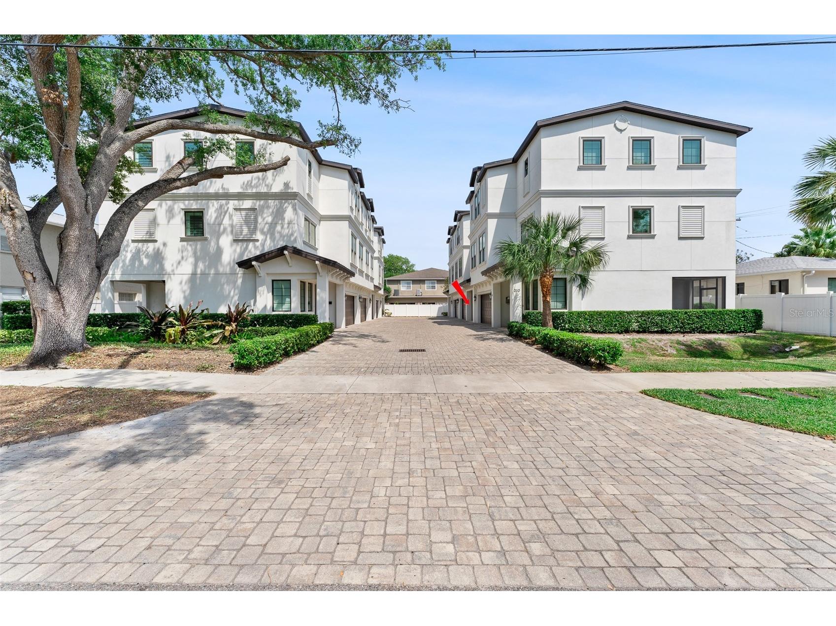 310 S Habana Avenue #5 Tampa FL 33609 TB8461448 image1