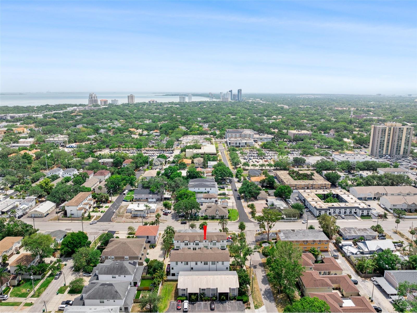 310 S Habana Avenue #5 Tampa FL 33609 TB8461448 image60