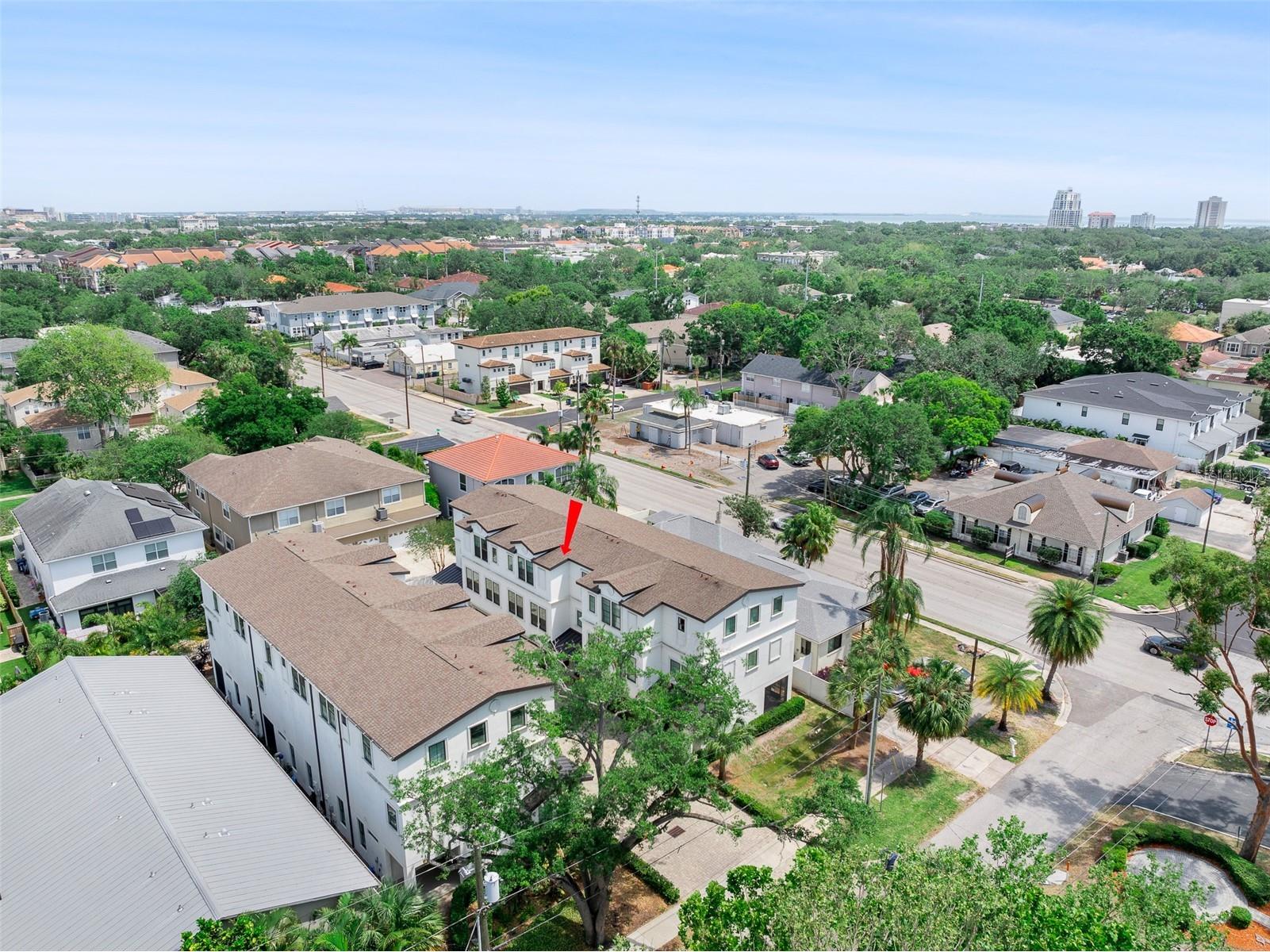 310 S Habana Avenue #5 Tampa FL 33609 TB8461448 image72