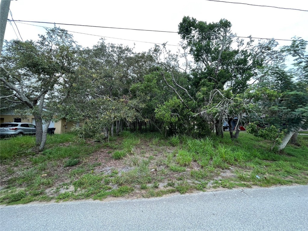 310 S Lotela Avenue Avon Park FL 33825 OK222981 image1