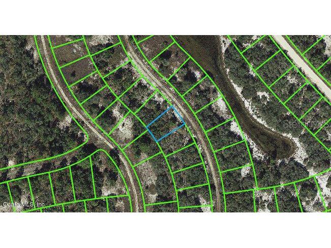 310 Summersweet Drive Lake Placid FL 33852 OM542081 image1