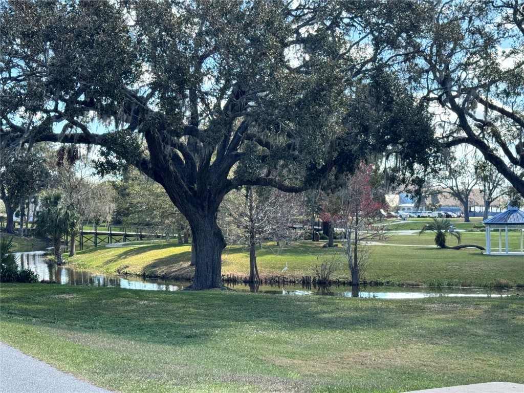 310 W Dixie Avenue Leesburg FL 34748 G5092929 image16