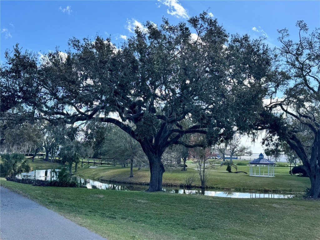 310 W Dixie Avenue Leesburg FL 34748 G5092929 image18