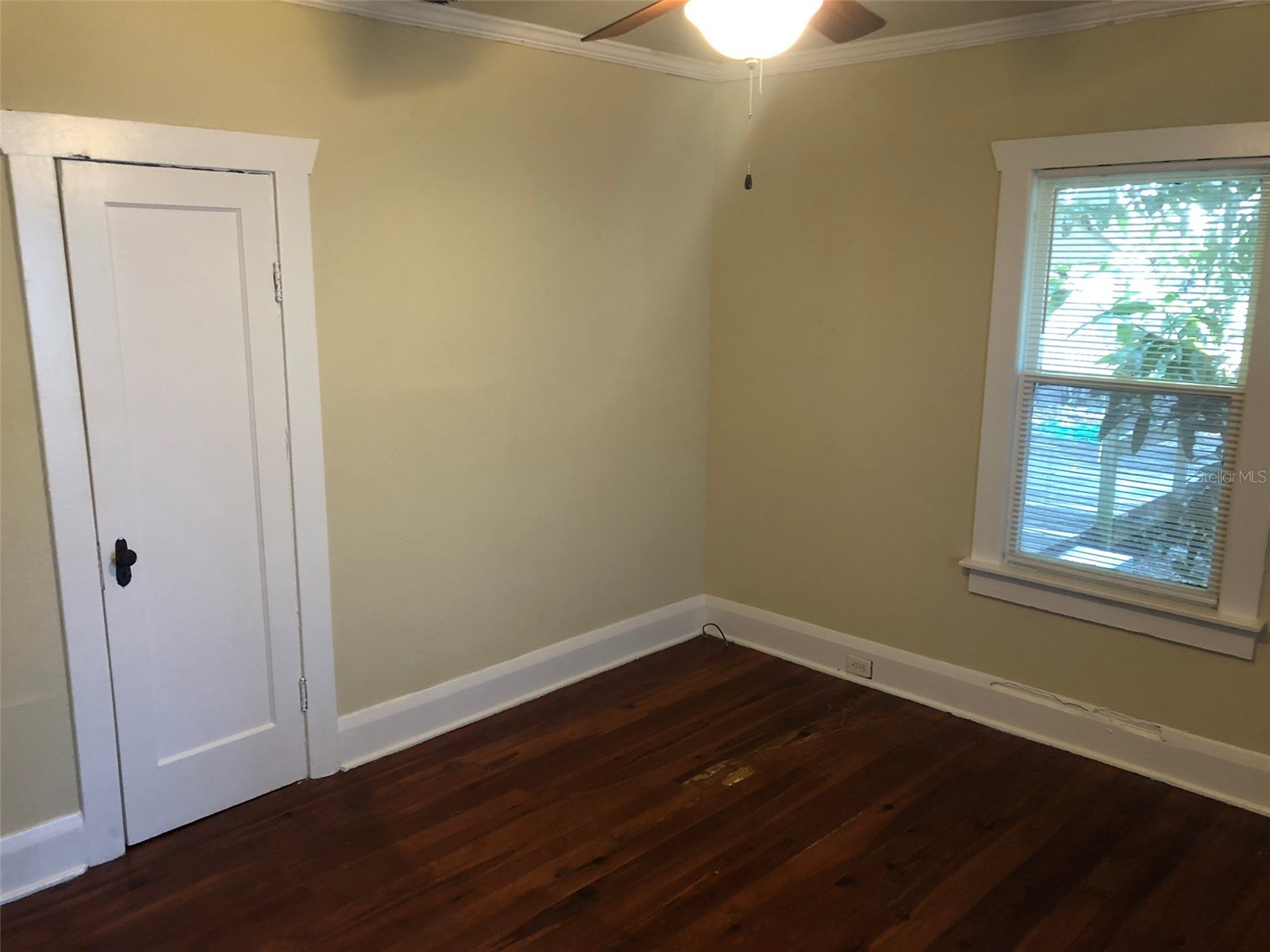 310 W Genesee Street Tampa FL 33603 TB8503935 image11