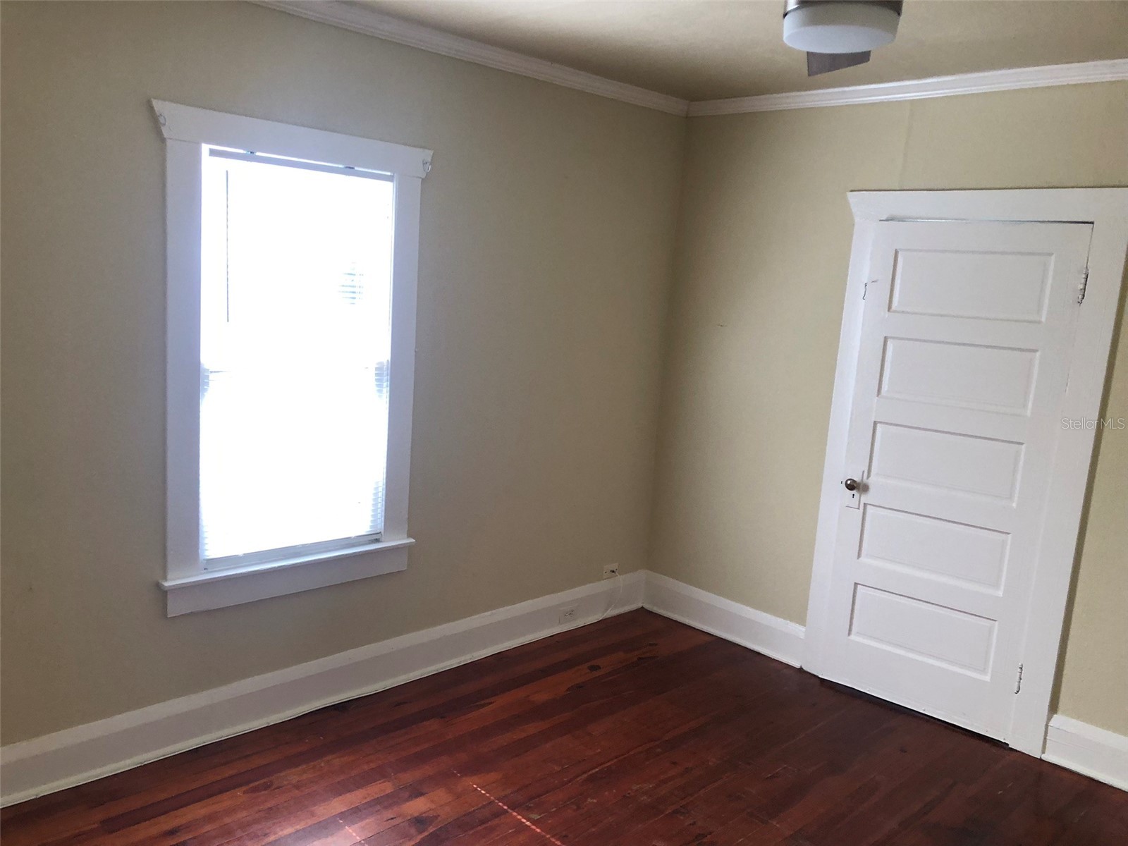 310 W Genesee Street Tampa FL 33603 TB8503935 image12