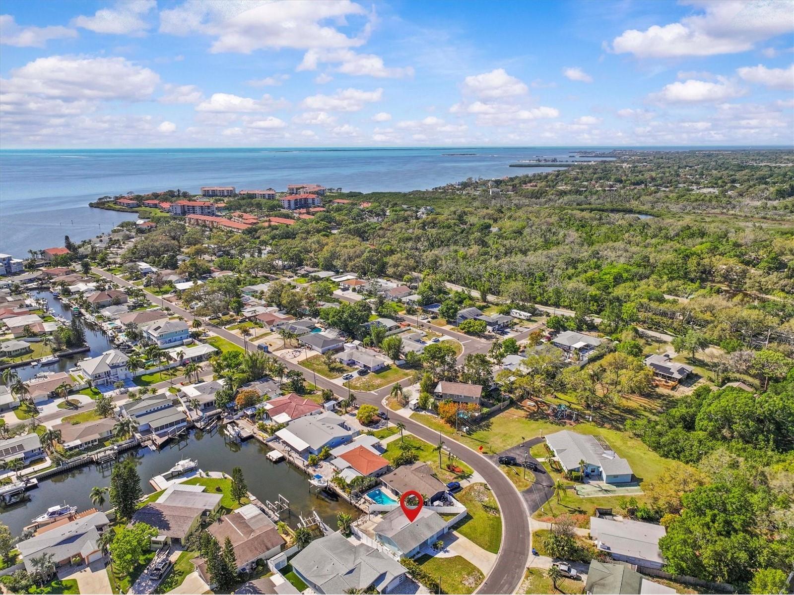 310 Westwinds Drive Palm Harbor FL 34683 TB8506837 image35