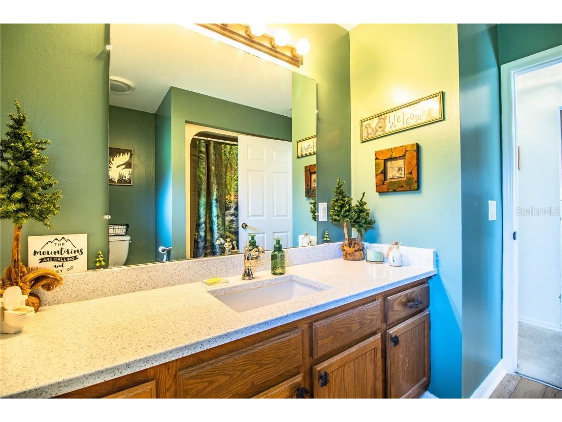 310 Willow Oak Court Fort Meade FL 33841 - PEACE RIVER L4947436 image61