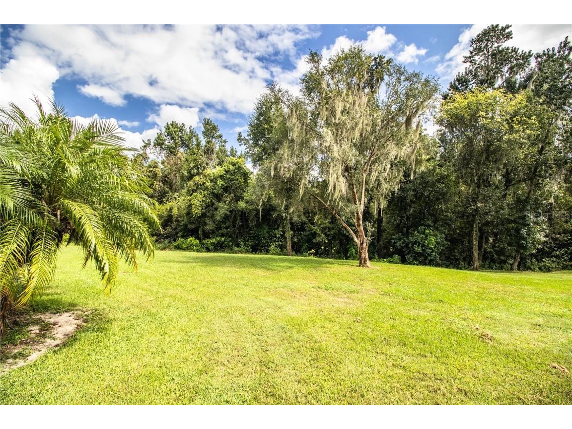 310 Willow Oak Court Fort Meade FL 33841 - PEACE RIVER L4947436 image88