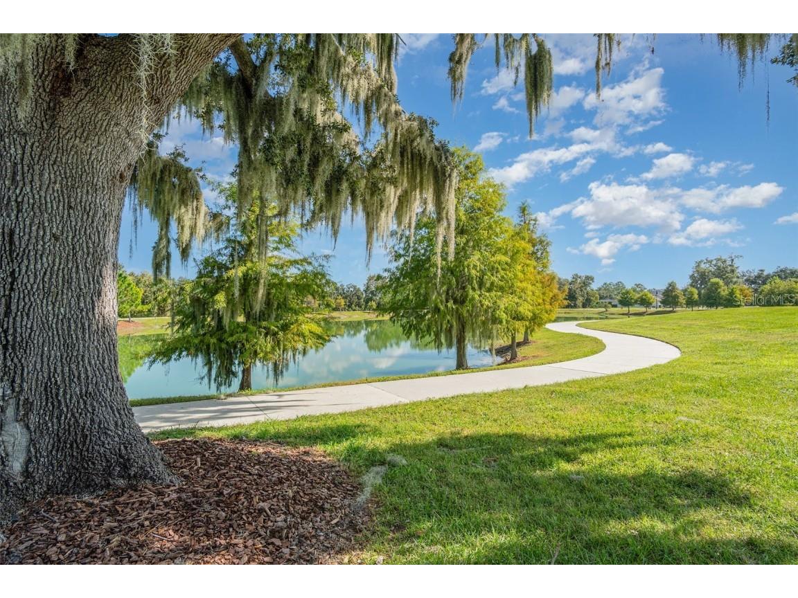 310 Wooded Vine Drive Winter Springs FL 32708 O6356419 image29