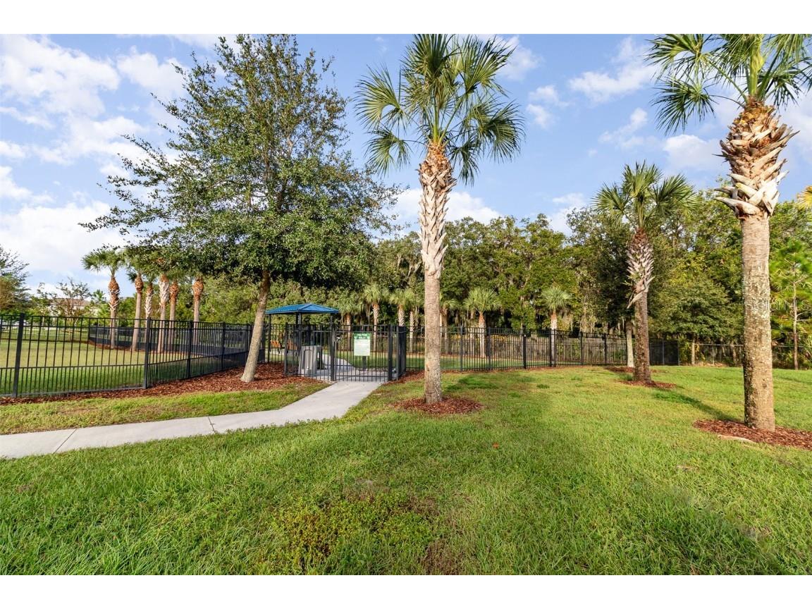 310 Wooded Vine Drive Winter Springs FL 32708 O6356419 image34