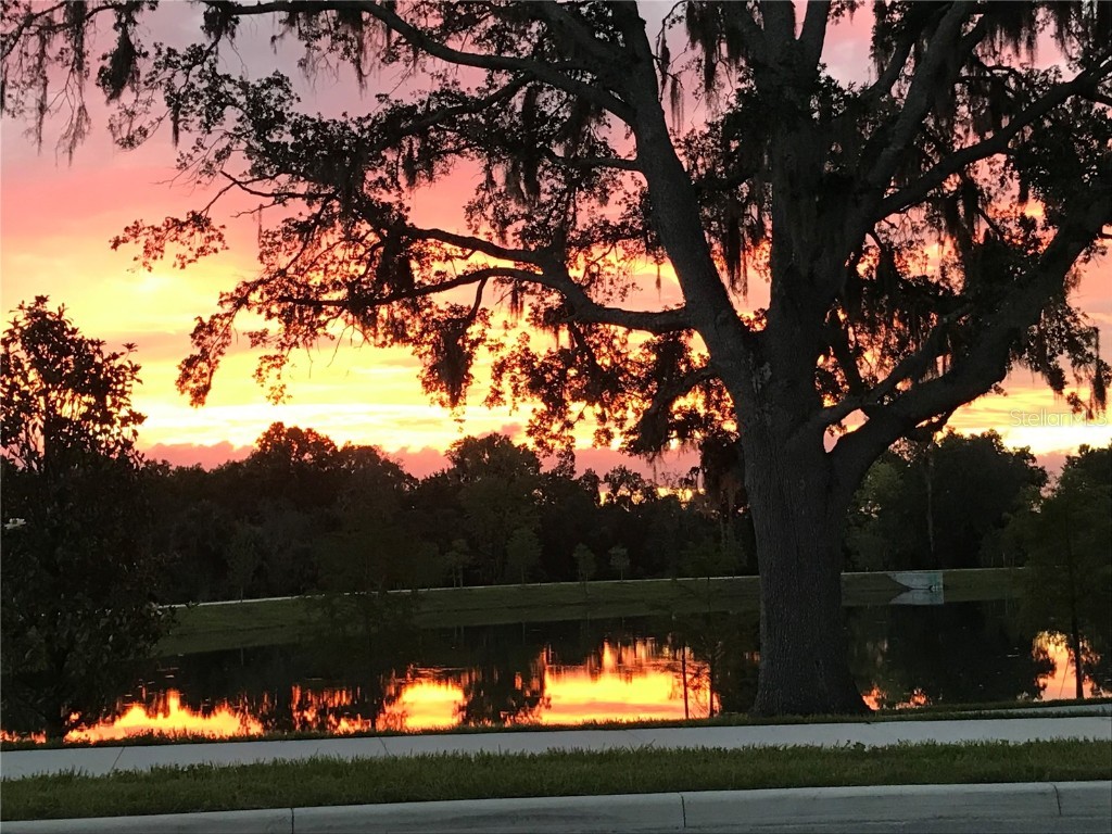 310 Wooded Vine Drive Winter Springs FL 32708 O6356419 image38