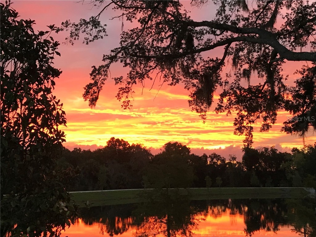 310 Wooded Vine Drive Winter Springs FL 32708 O6356419 image39