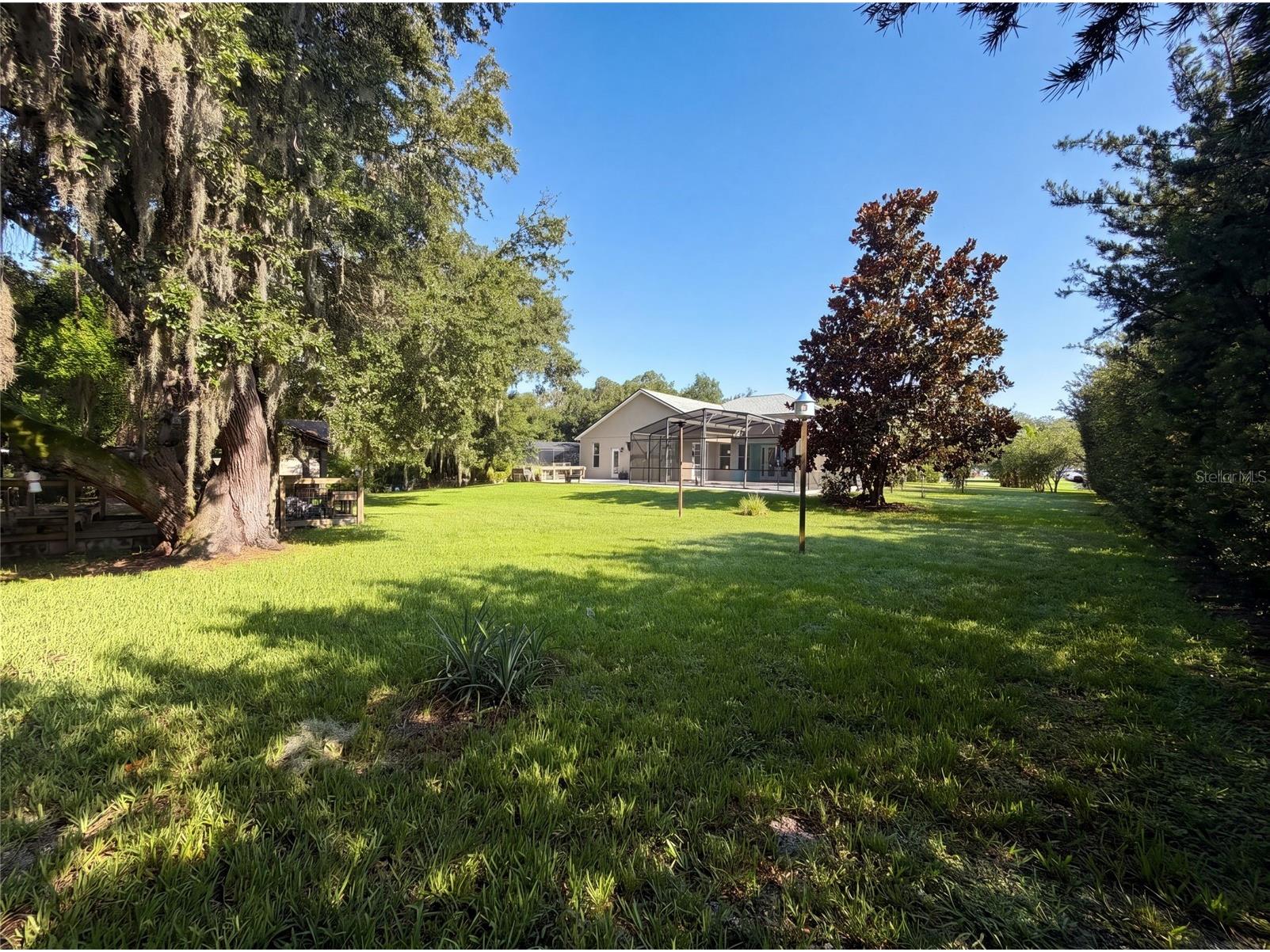 3100 Conrad Court Kissimmee FL 34744 O6423286 image50