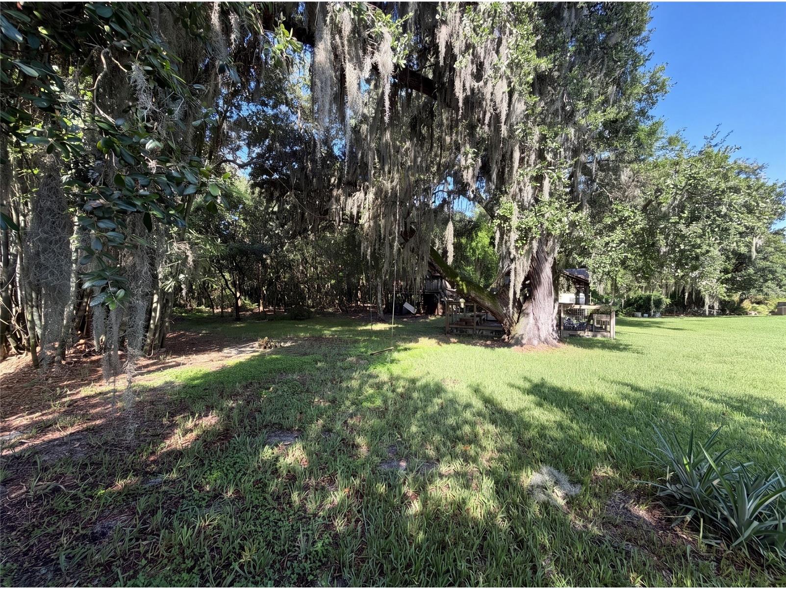 3100 Conrad Court Kissimmee FL 34744 O6423286 image51