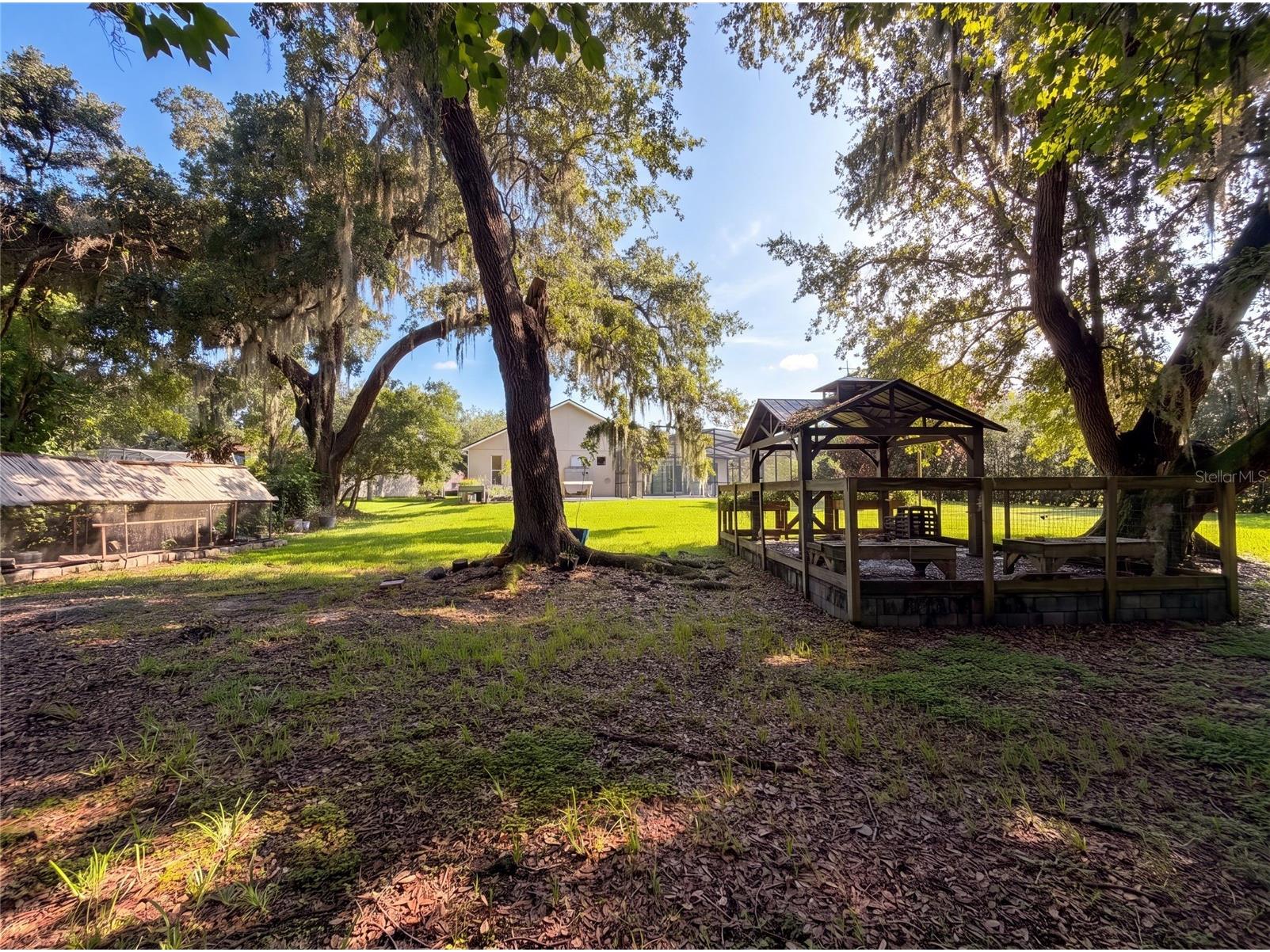 3100 Conrad Court Kissimmee FL 34744 O6423286 image54