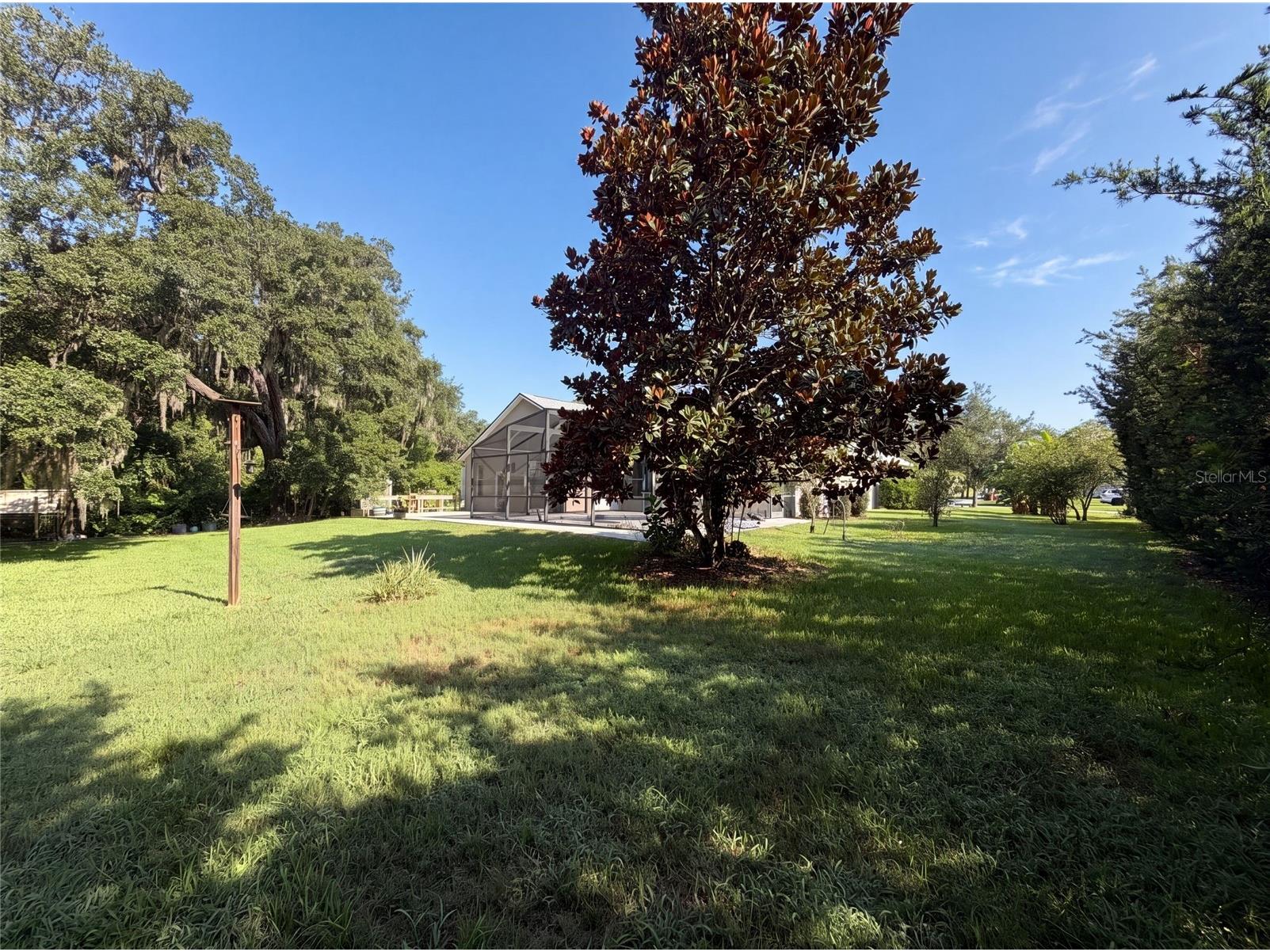 3100 Conrad Court Kissimmee FL 34744 O6423286 image56