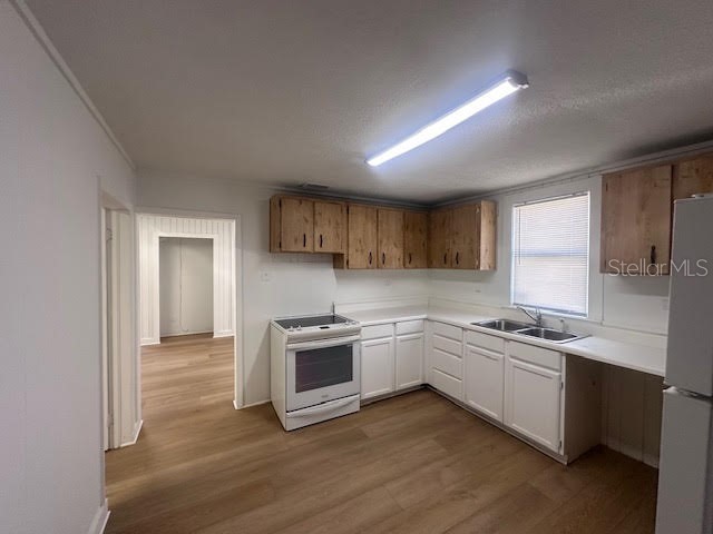 3100 E Moody Boulevard Bunnell FL 32110 FC308318 image25