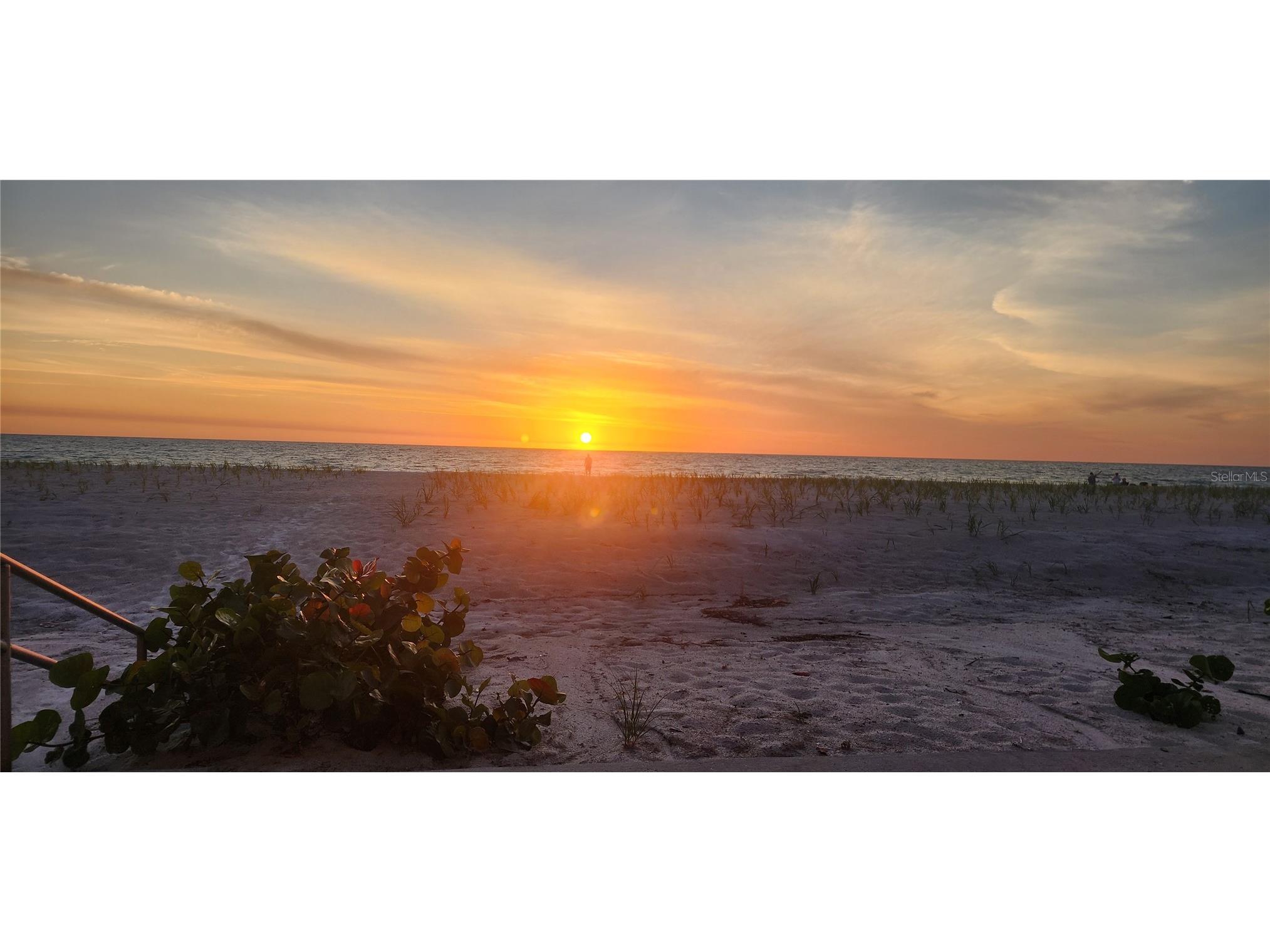 3100 Gulf Boulevard #132 Belleair Beach FL 33786 - GULF OF AMERICA TB8504422 image68