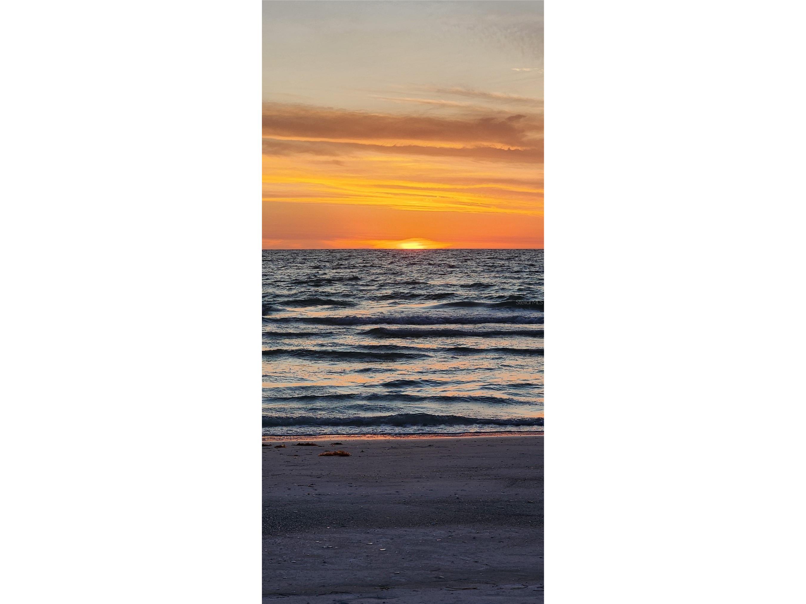 3100 Gulf Boulevard #132 Belleair Beach FL 33786 - GULF OF AMERICA TB8504422 image69