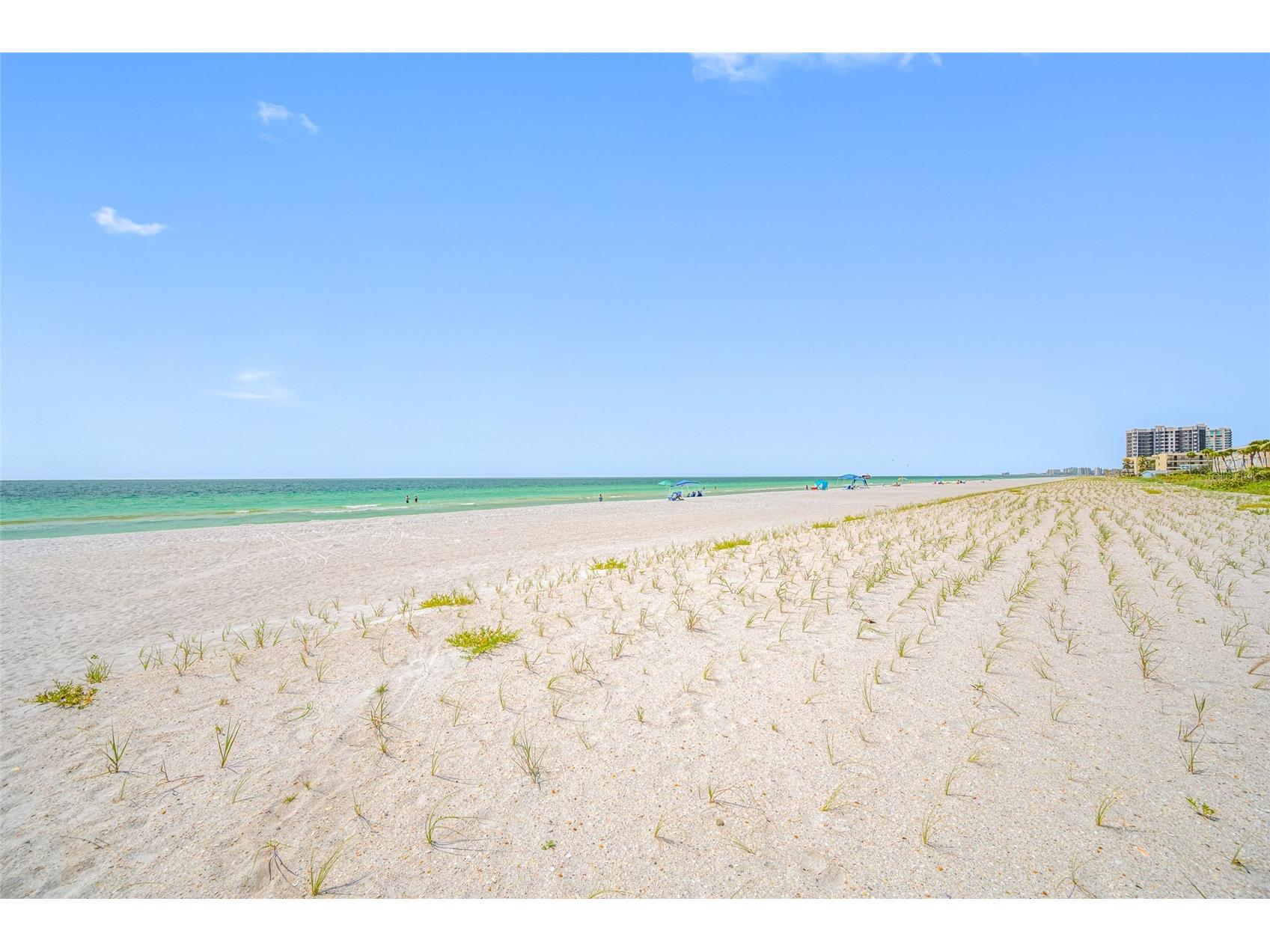 3100 Gulf Boulevard #132 Belleair Beach FL 33786 - GULF OF AMERICA TB8504422 image9