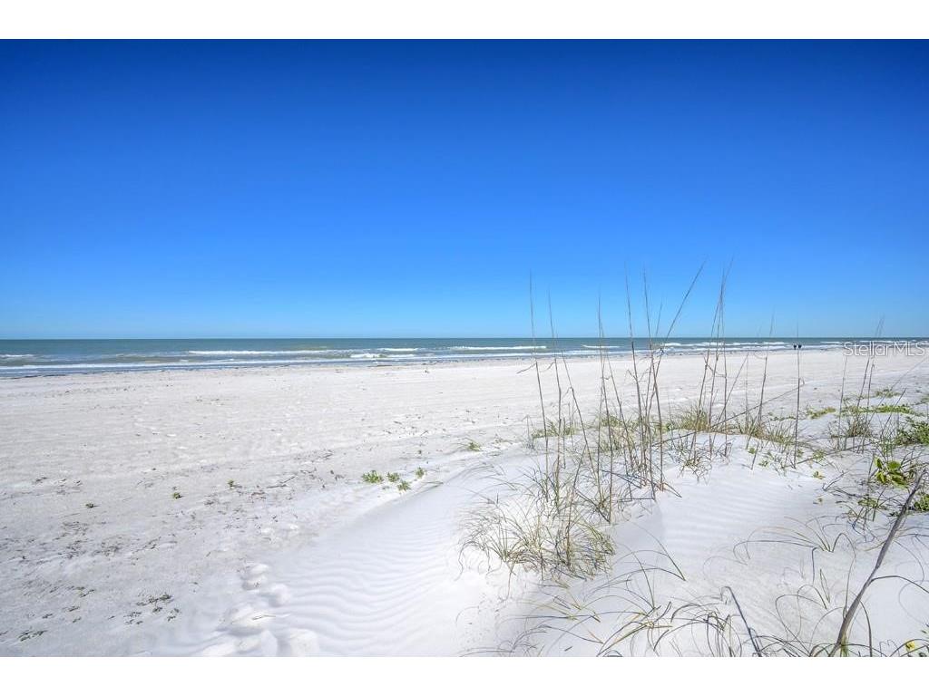 3100 Gulf Boulevard #334 Belleair Beach FL 33786 TB8479265 image19