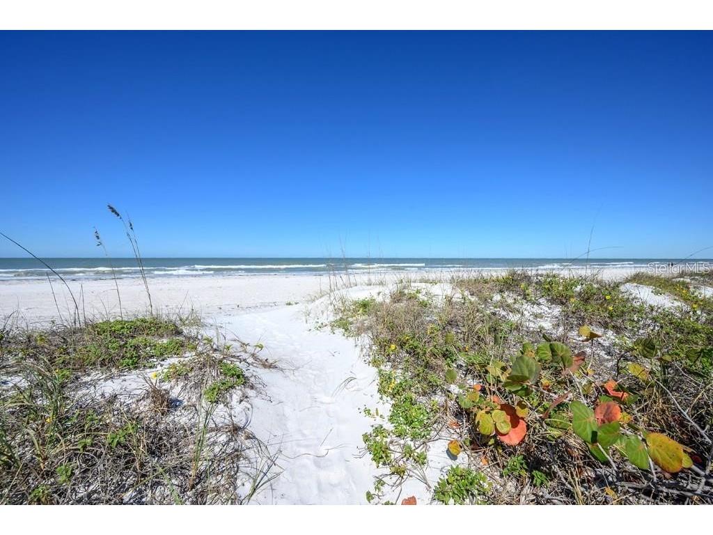 3100 Gulf Boulevard #334 Belleair Beach FL 33786 TB8479265 image20