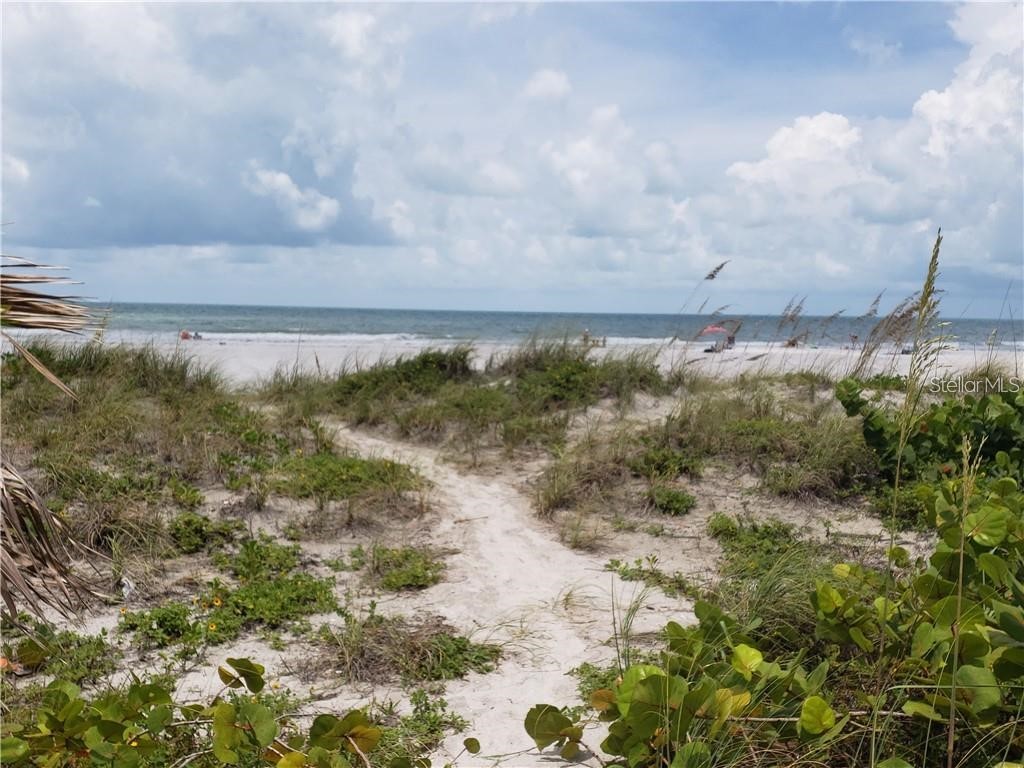 3100 Gulf Boulevard #334 Belleair Beach FL 33786 TB8479265 image23