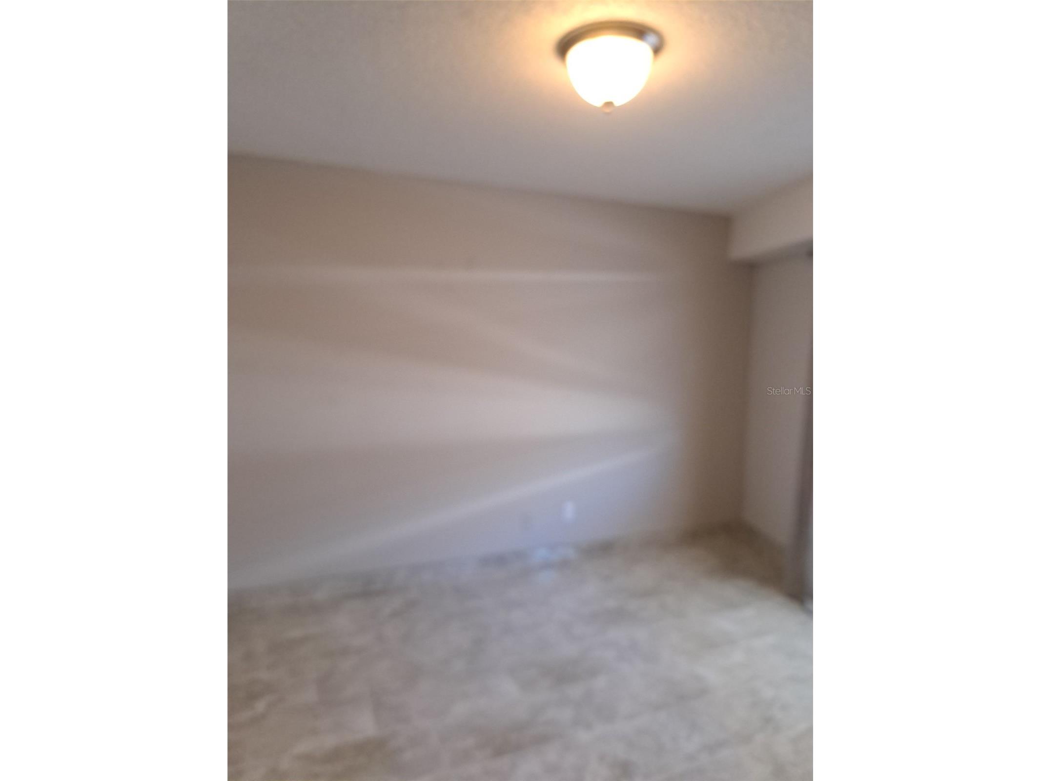 3100 Gulf Boulevard #334 Belleair Beach FL 33786 TB8479265 image41