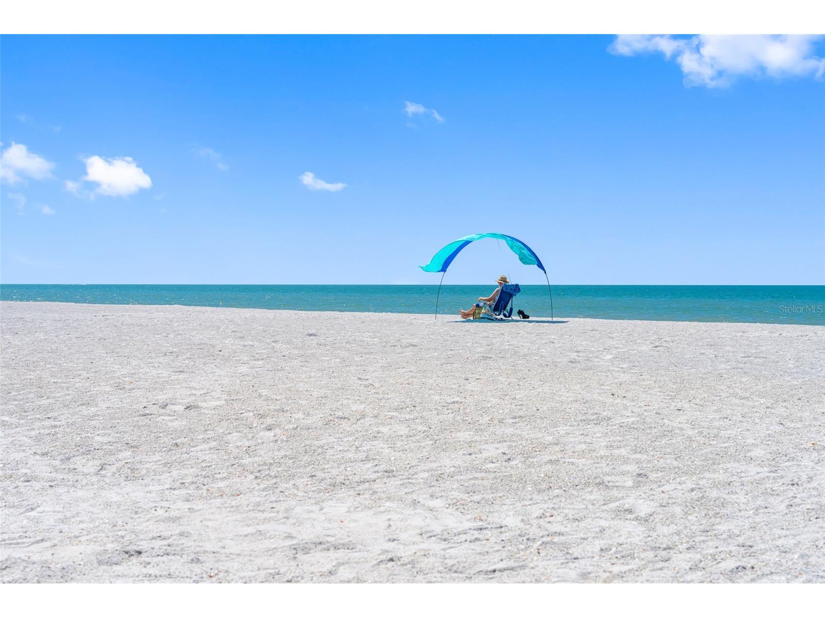 3100 Gulf Boulevard #431 Belleair Beach FL 33786 TB8482721 image15