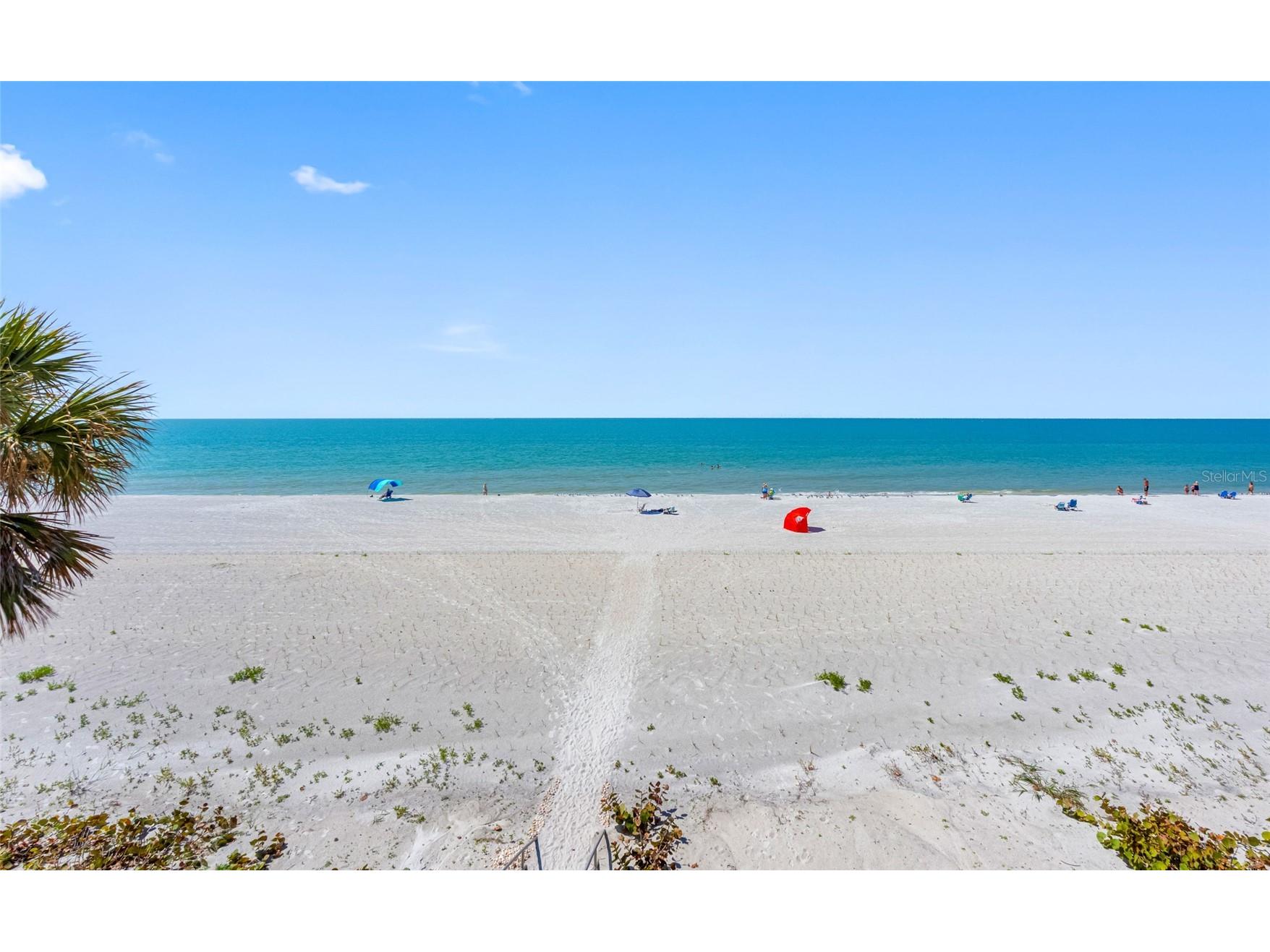 3100 Gulf Boulevard #431 Belleair Beach FL 33786 TB8482721 image40