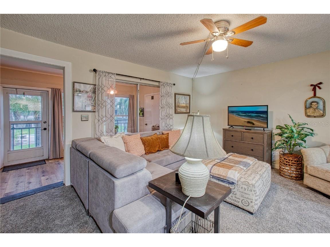 3100 Hartford Street N #203 Saint Petersburg FL 33713 TB8407366 image6