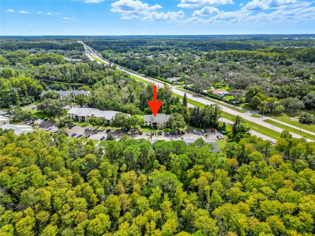 3100 Lake Pine Way #A2 Tarpon Springs FL 34688 TB8433608 image18