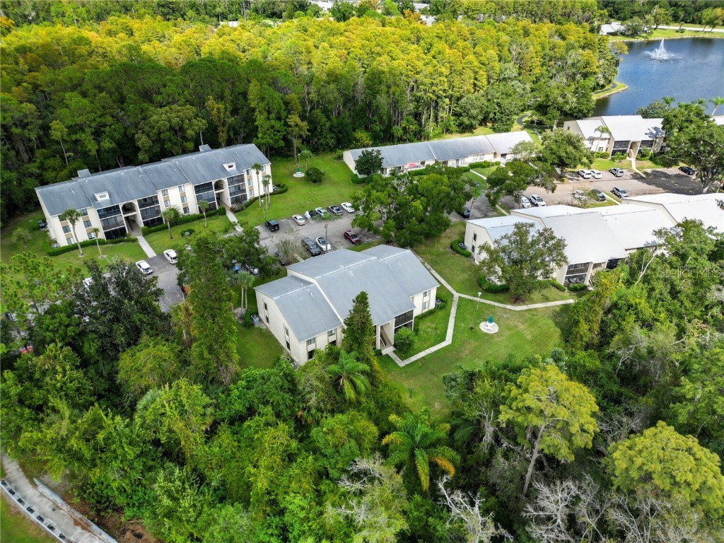 3100 Lake Pine Way #A2 Tarpon Springs FL 34688 TB8433608 image19