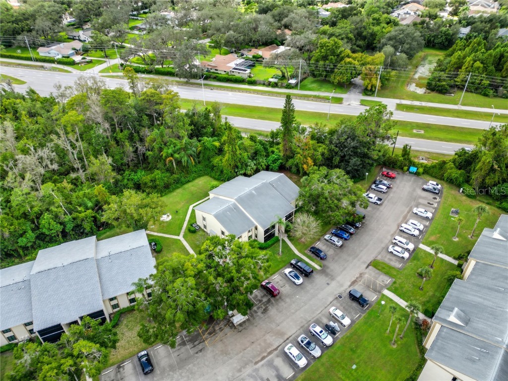3100 Lake Pine Way #A2 Tarpon Springs FL 34688 TB8433608 image20