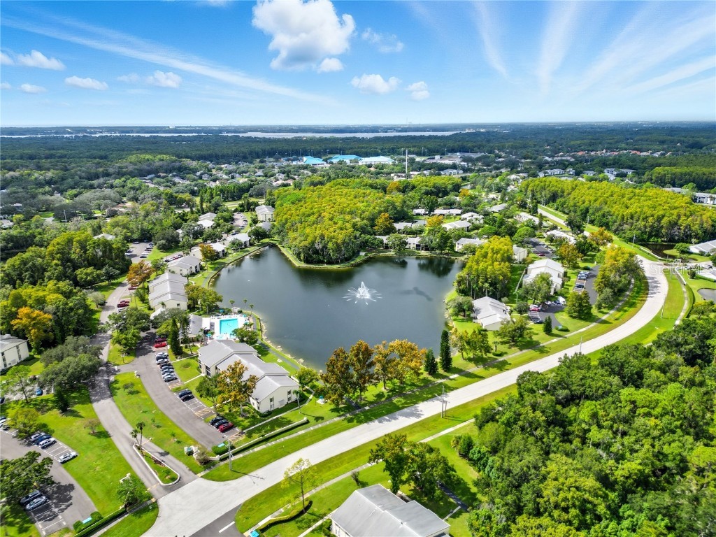 3100 Lake Pine Way #A2 Tarpon Springs FL 34688 TB8433608 image21