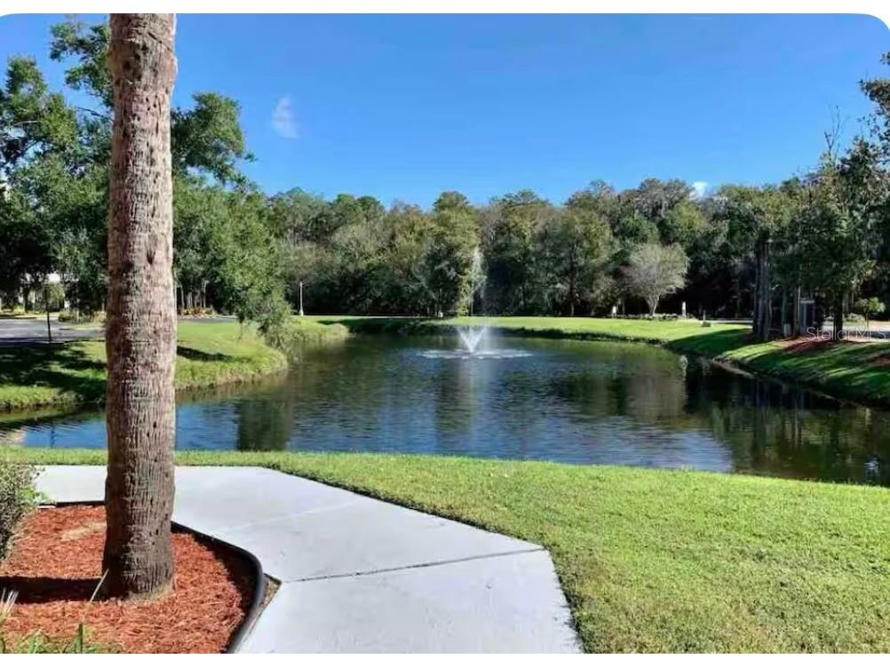 3100 Parkway Boulevard #425 Kissimmee FL 34747 S5137867 image4