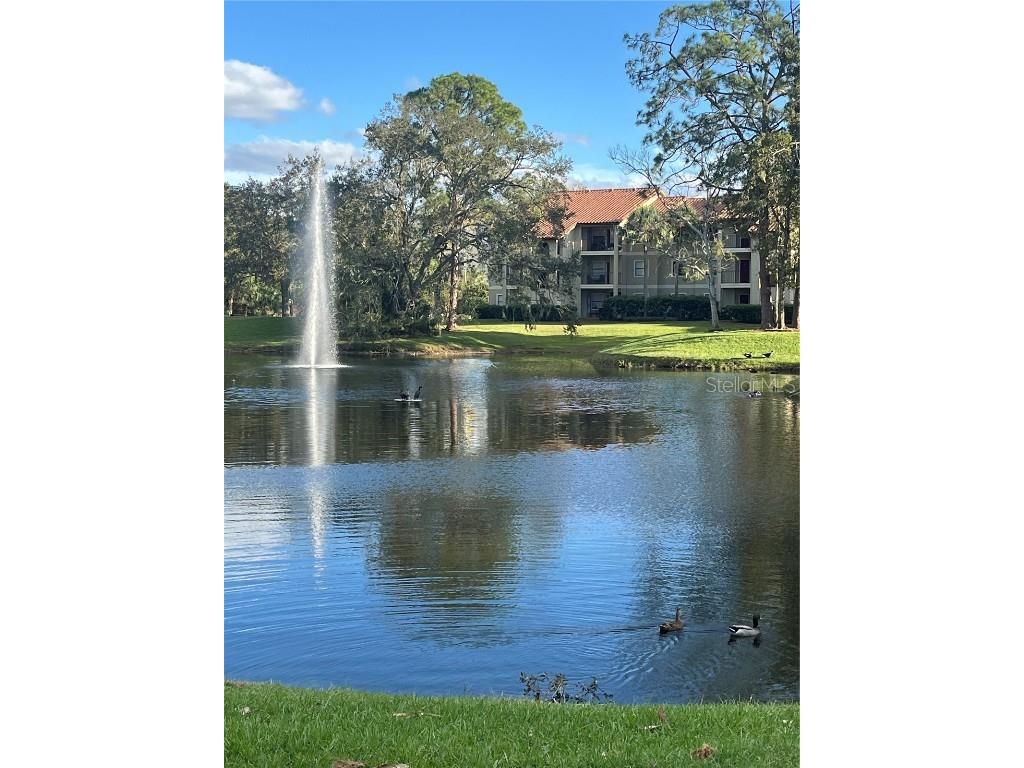 3100 Parkway Boulevard #620 Kissimmee FL 34747 O6249922 image1