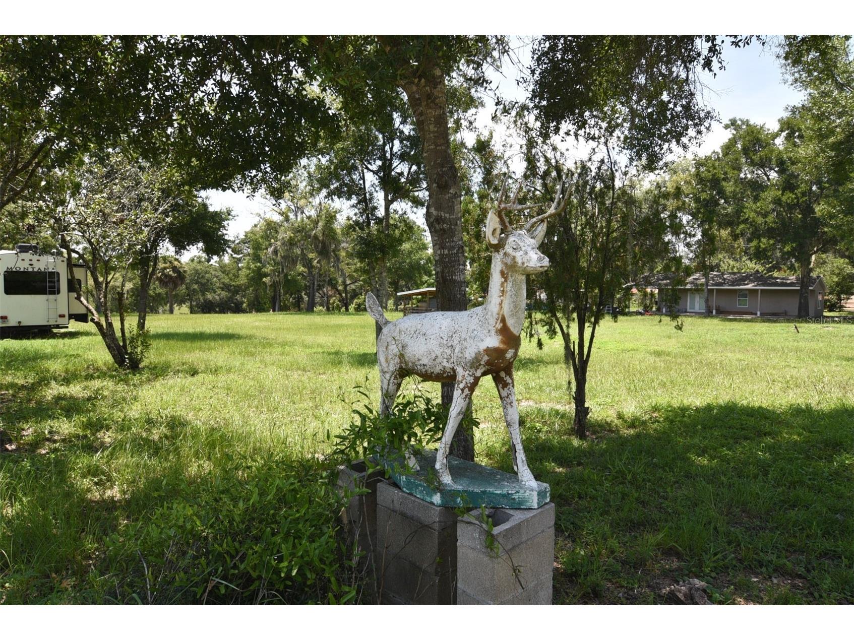 3100 Poverty Lane Apopka FL 32712 O6366447 image2