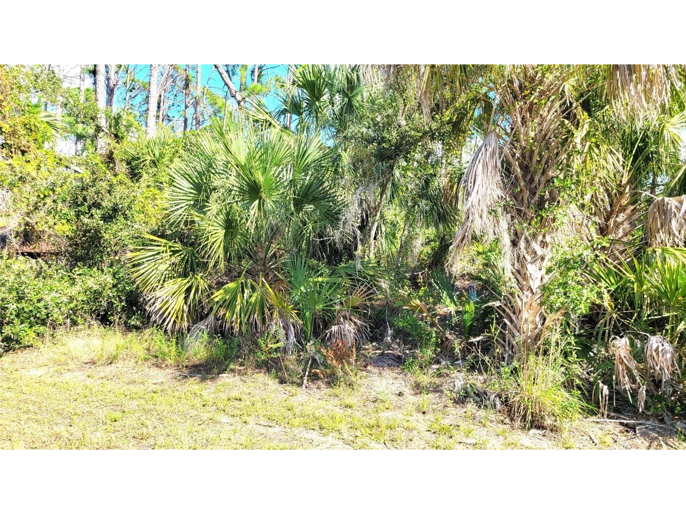 3100 Sudbury Street Port Charlotte FL 33948 C7483496 image1