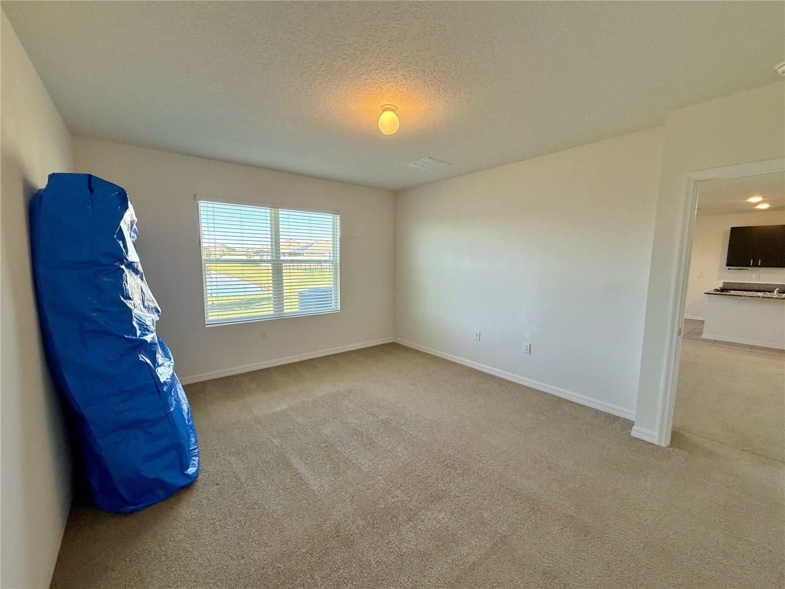 31000 Summer Sun Loop Wesley Chapel FL 33545 TB8491481 image10