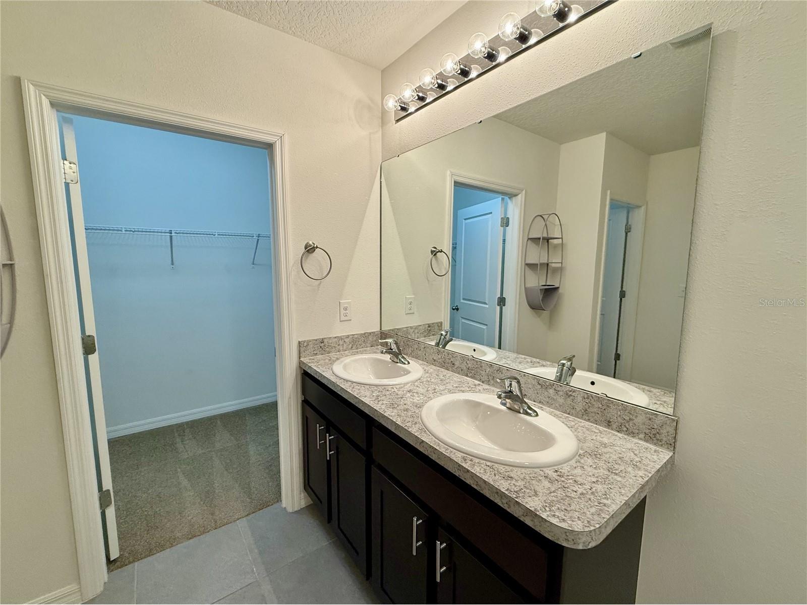 31000 Summer Sun Loop Wesley Chapel FL 33545 TB8491481 image11