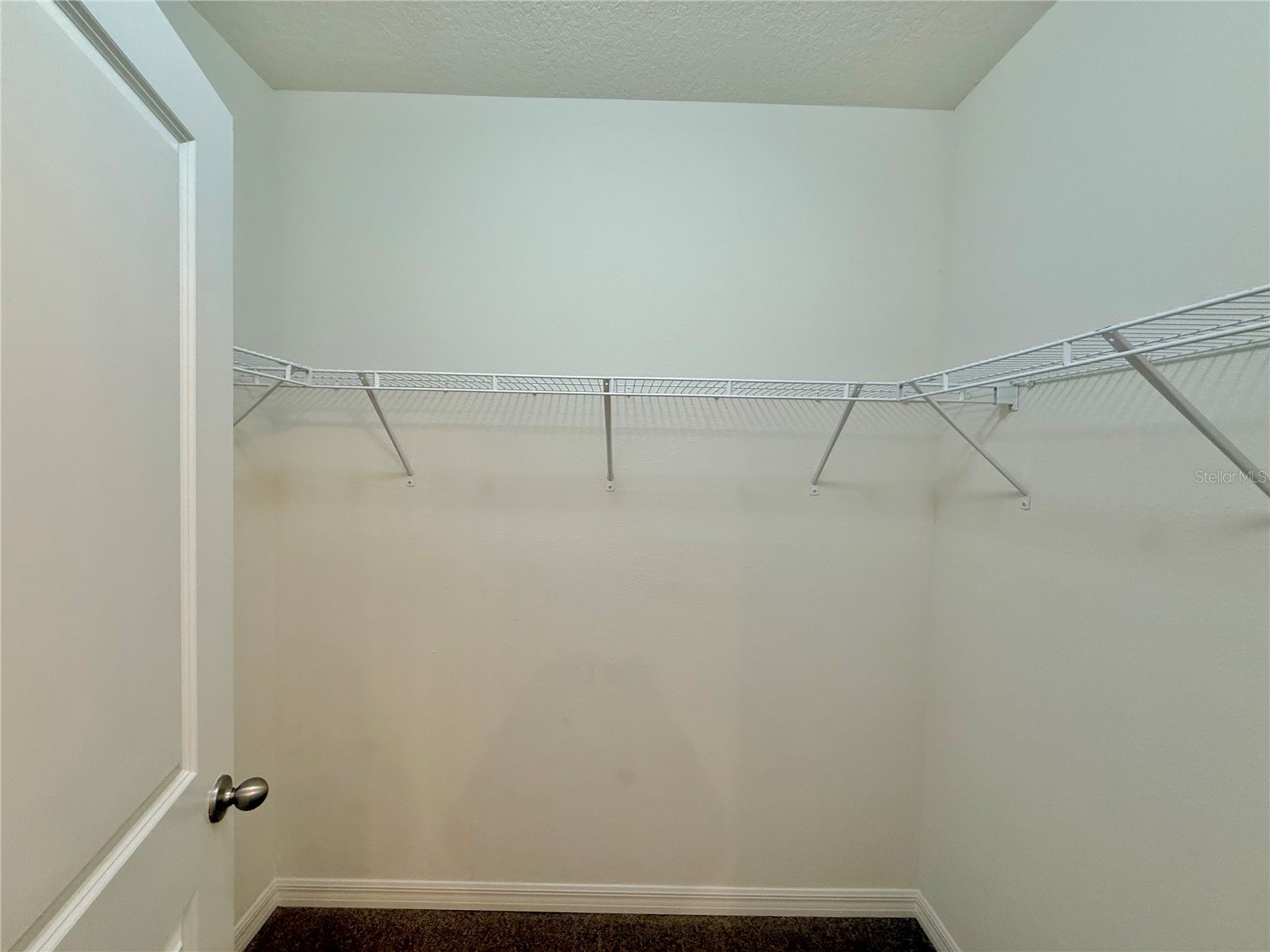 31000 Summer Sun Loop Wesley Chapel FL 33545 TB8491481 image13