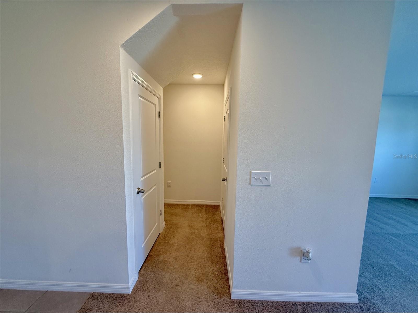 31000 Summer Sun Loop Wesley Chapel FL 33545 TB8491481 image14