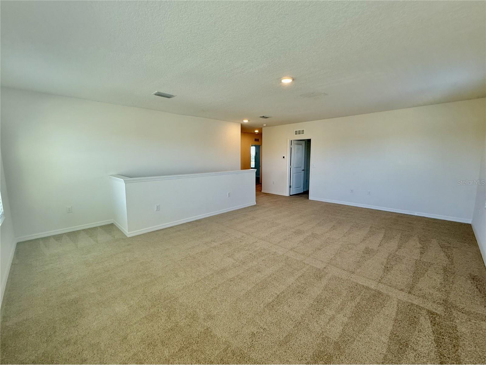 31000 Summer Sun Loop Wesley Chapel FL 33545 TB8491481 image17