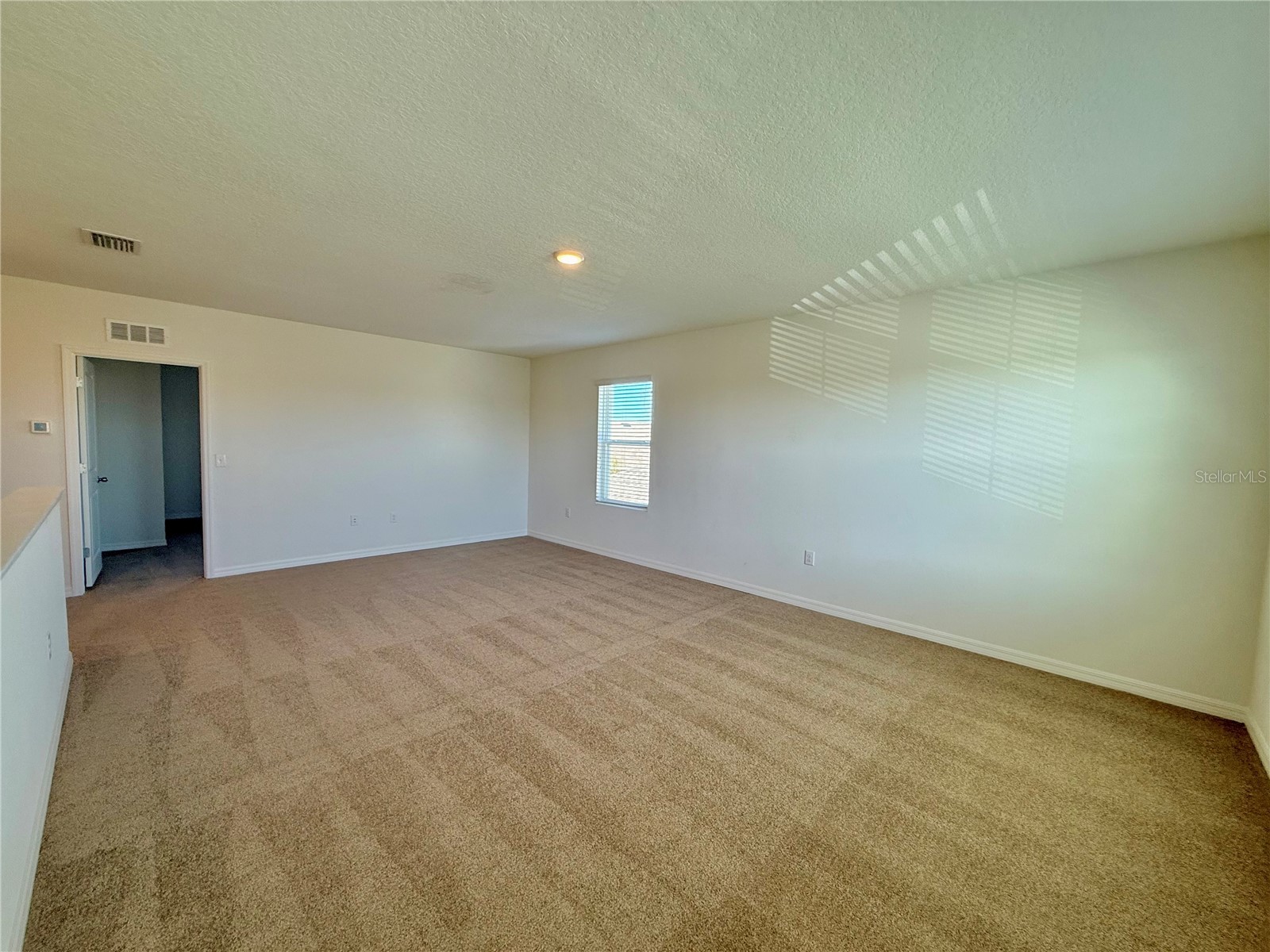 31000 Summer Sun Loop Wesley Chapel FL 33545 TB8491481 image18